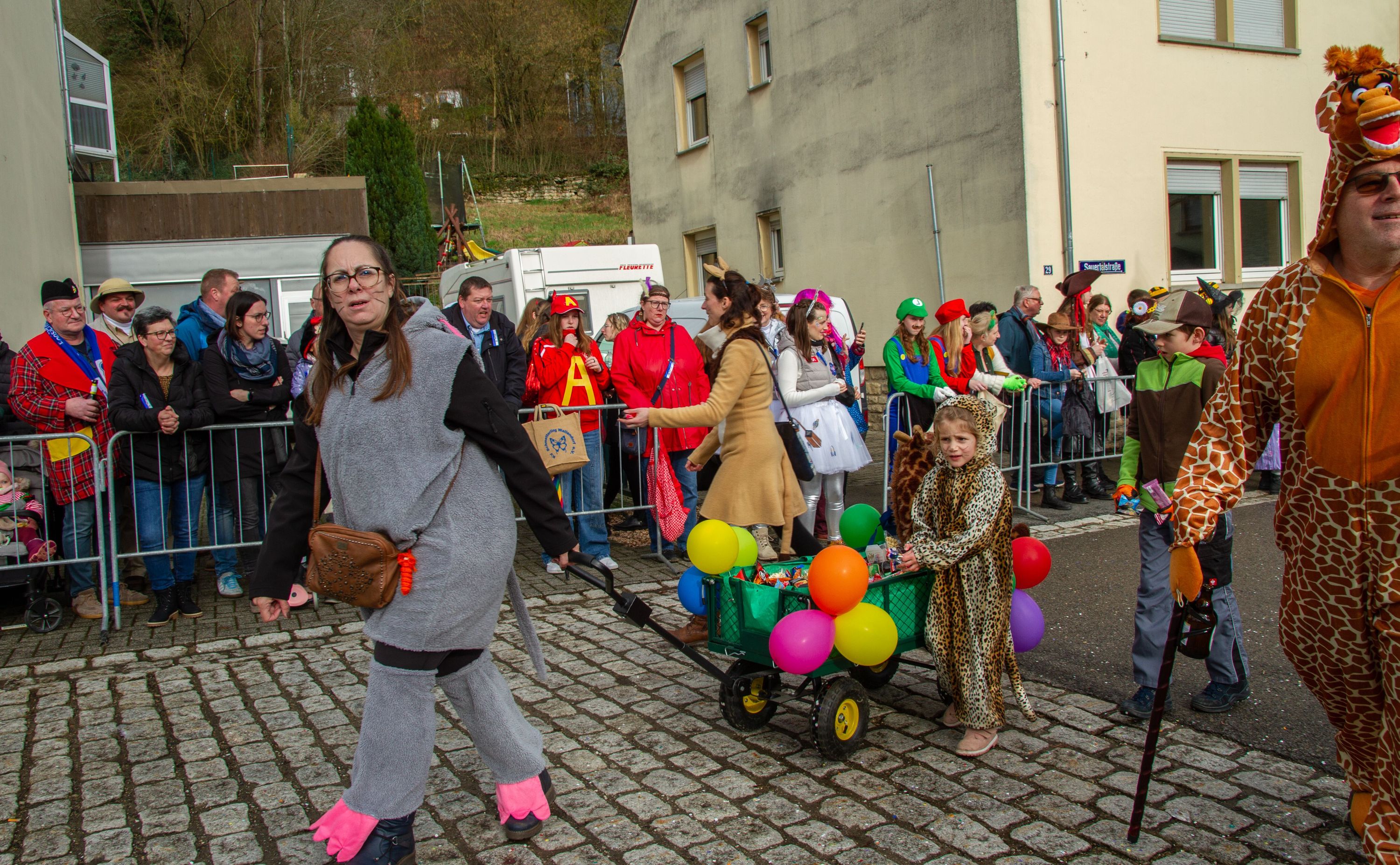 Rosenmontag Wallendorf2024 0076