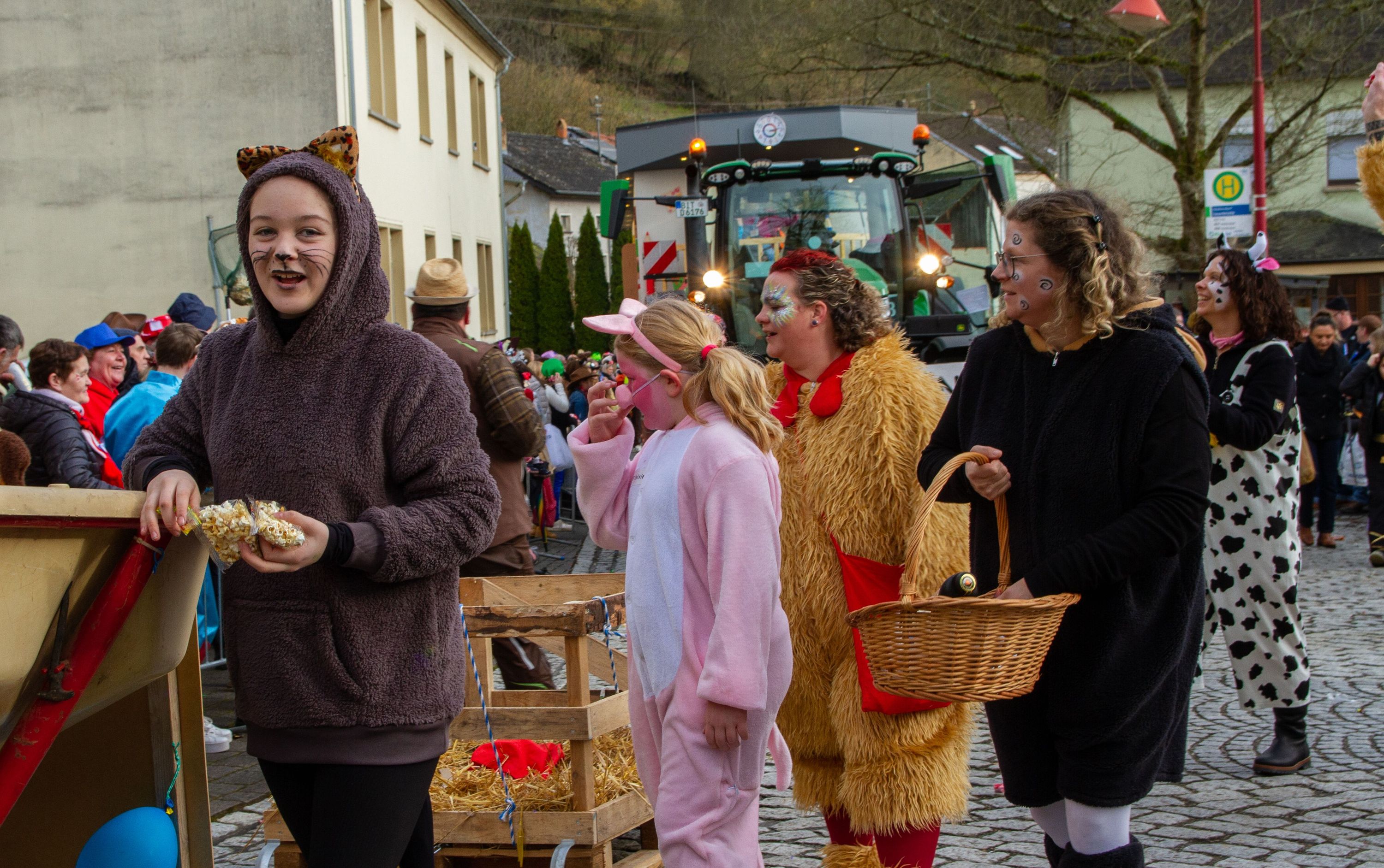 Rosenmontag Wallendorf2024 0229