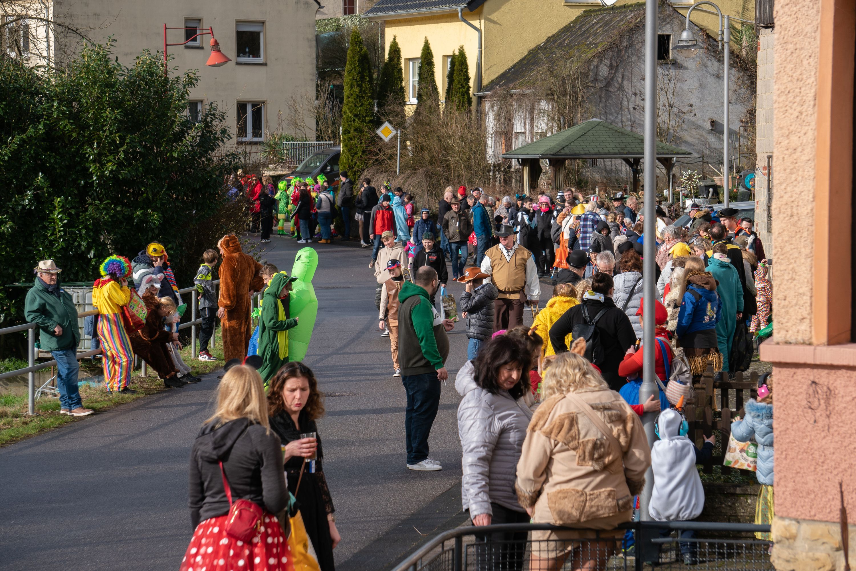 Rosenmontag Wallendorf2024 0297