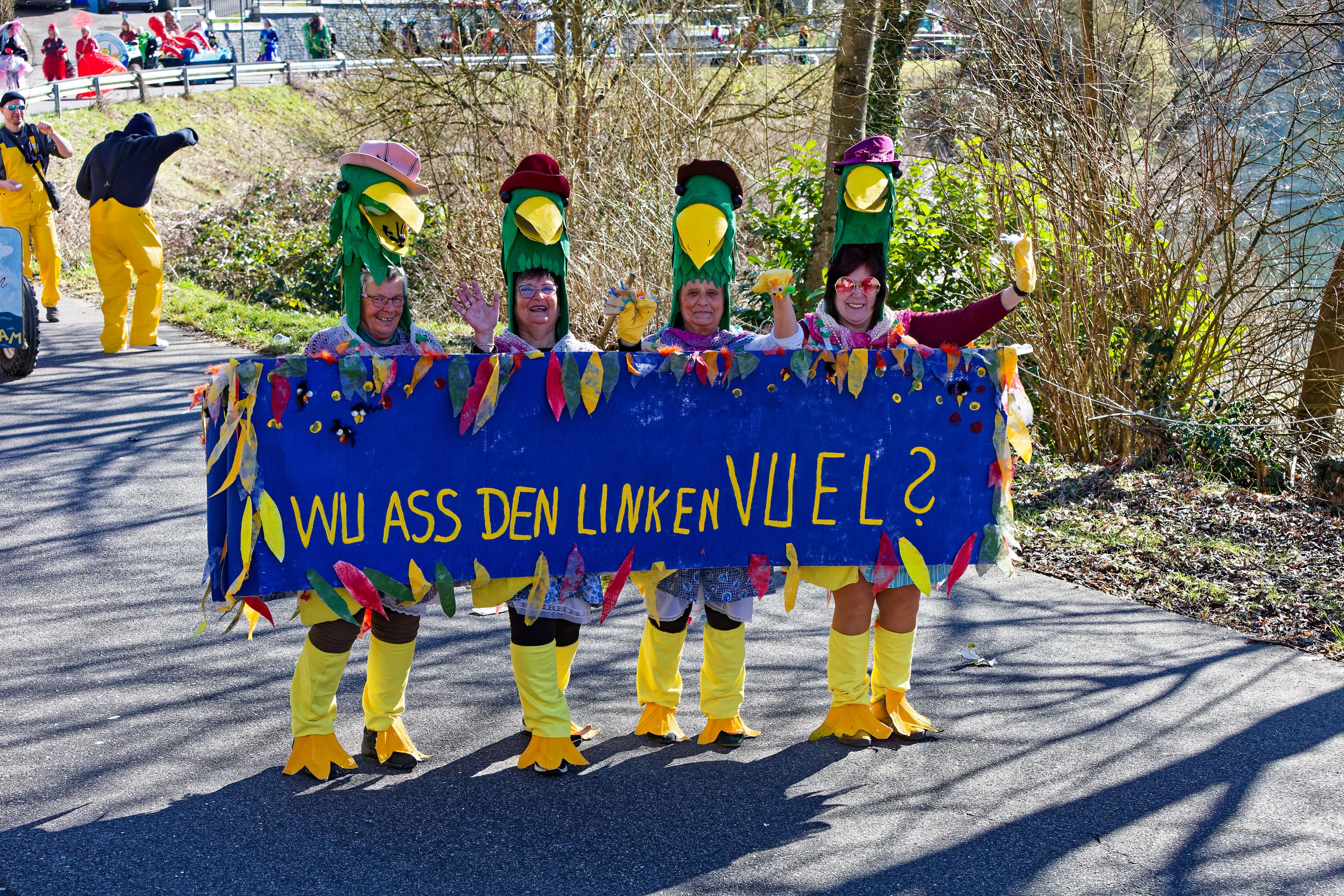 Rosenmontagsumzugr Wallendorf 2025 092