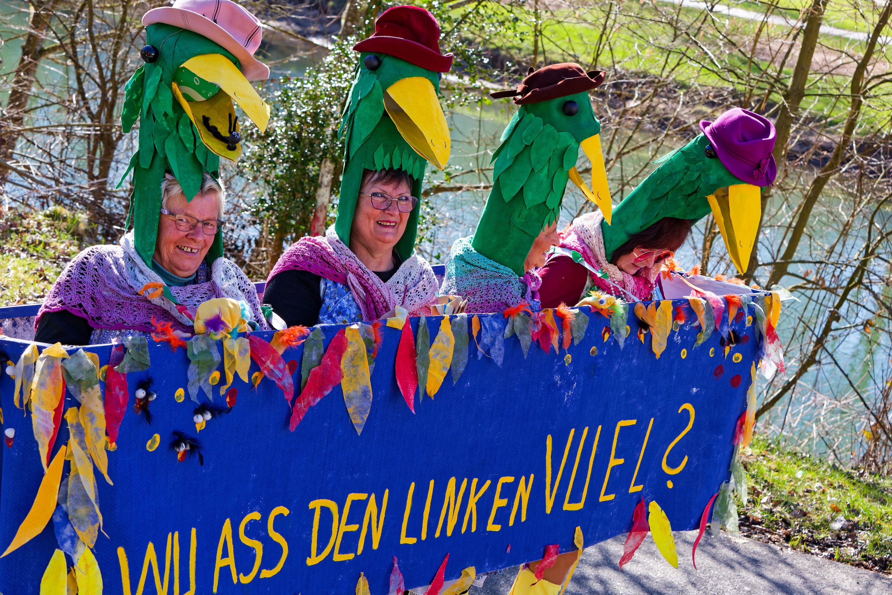 Rosenmontagsumzugr Wallendorf 2025 094