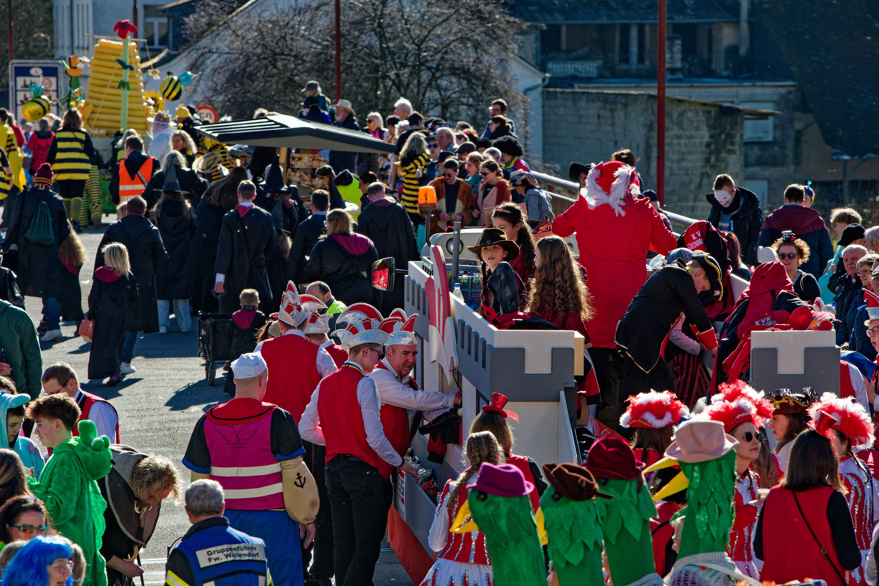 Rosenmontagsumzugr Wallendorf 2025 151