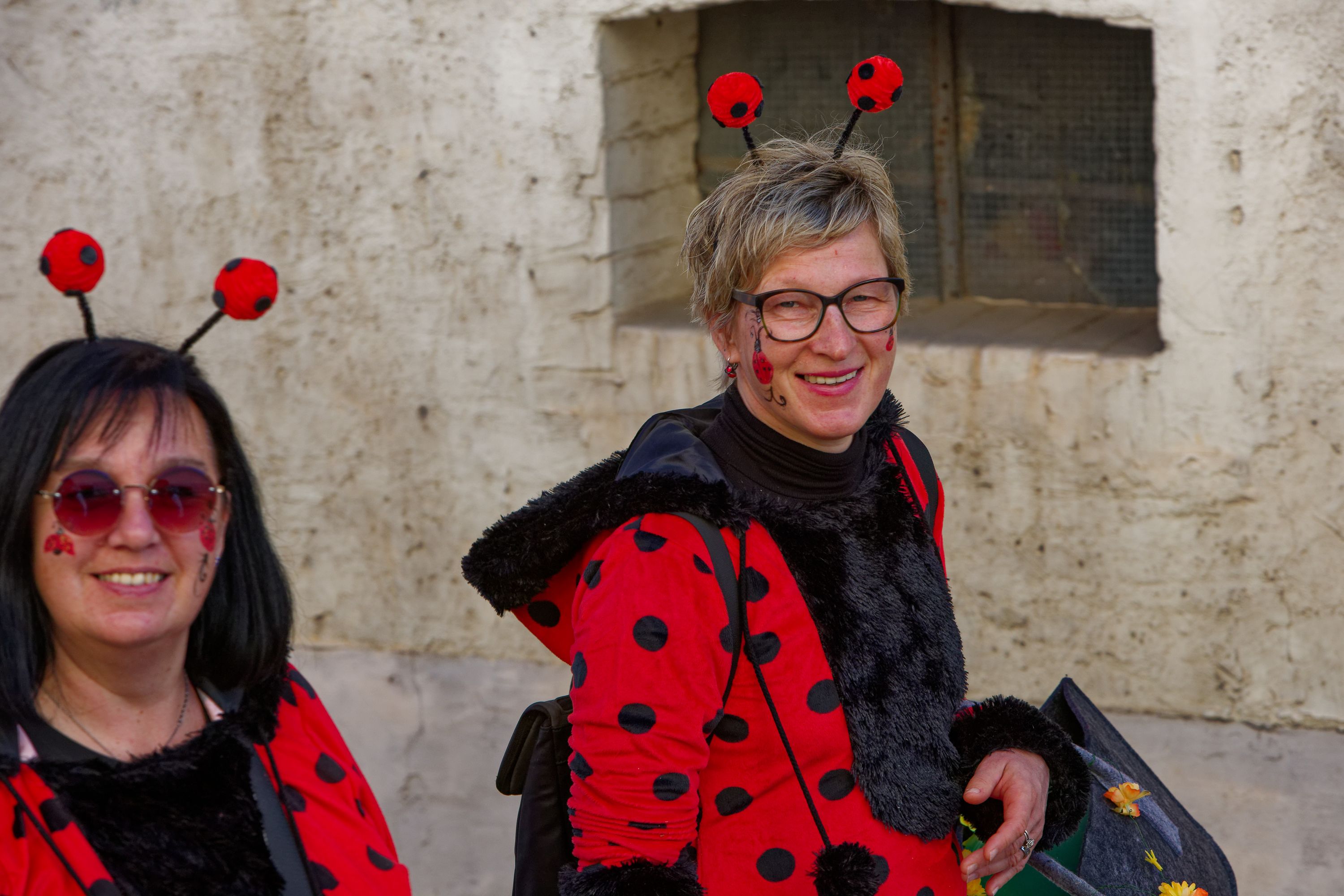 Rosenmontagsumzugr Wallendorf 2025 278