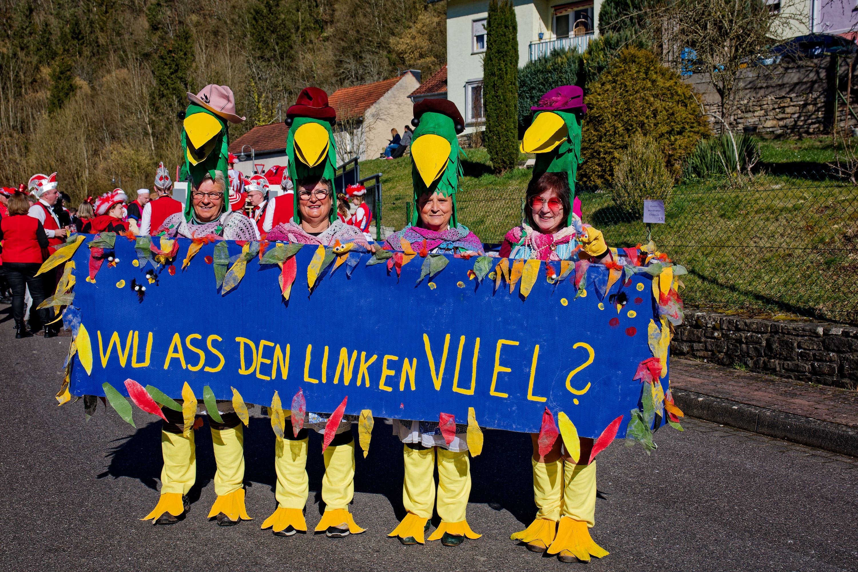 Rosenmontagsumzugr Wallendorf 2025 482
