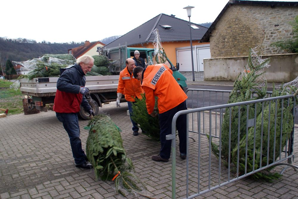 Weihnachtsbaum08