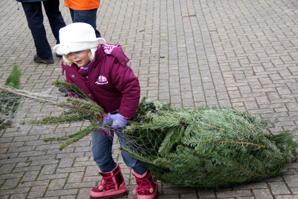 Weihnachtsbaum19
