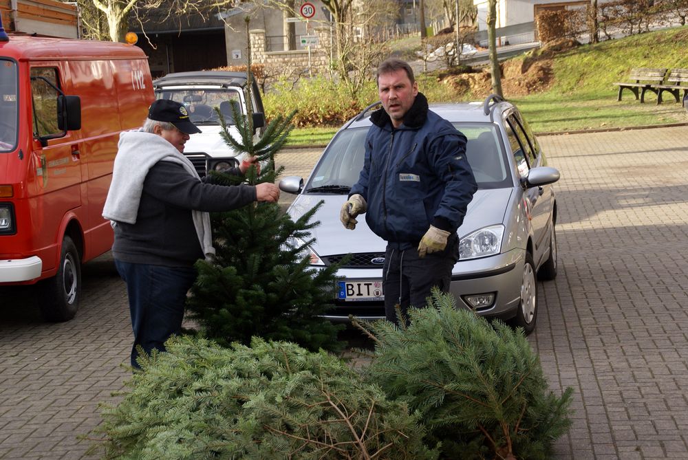 Weihnachtsbaum36