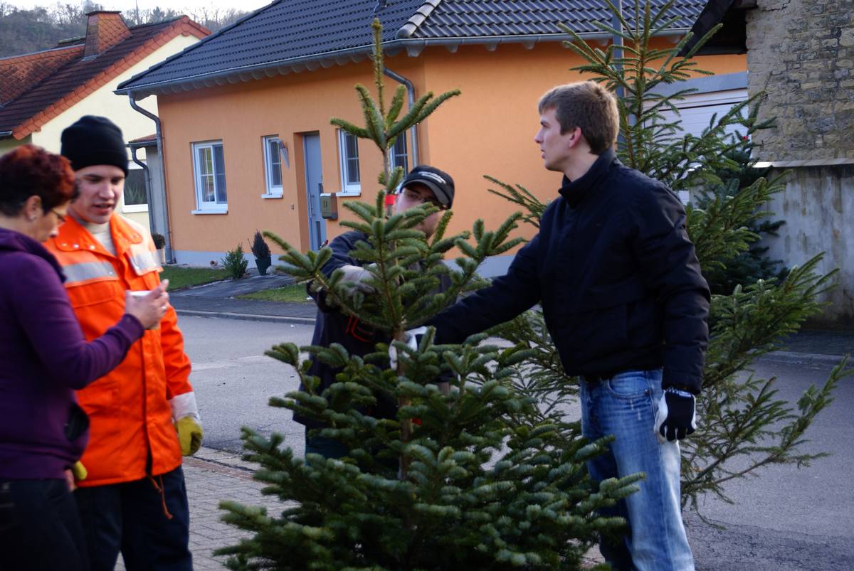 Weihnachtsbaum069