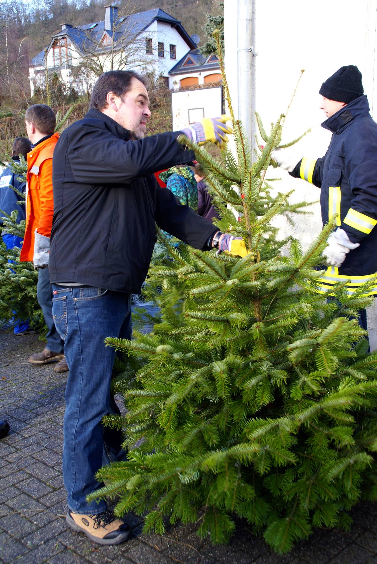 Weihnachtsbaum077