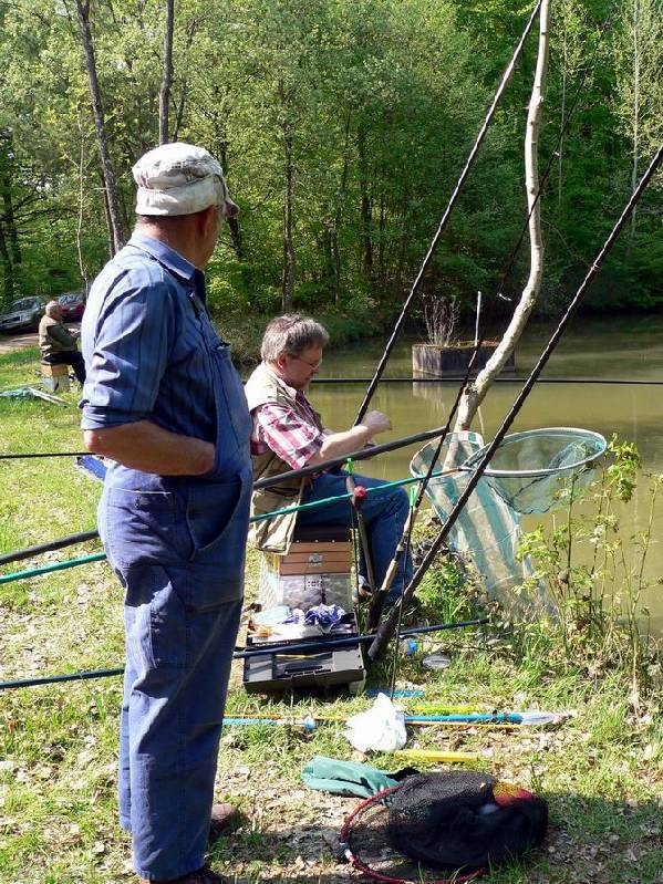 Graureiher Bild Nr.005