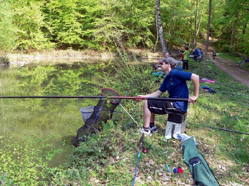 Graureiher Bild Nr.006