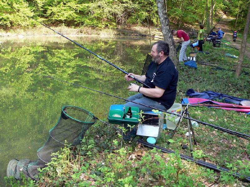 Graureiher Bild Nr.007