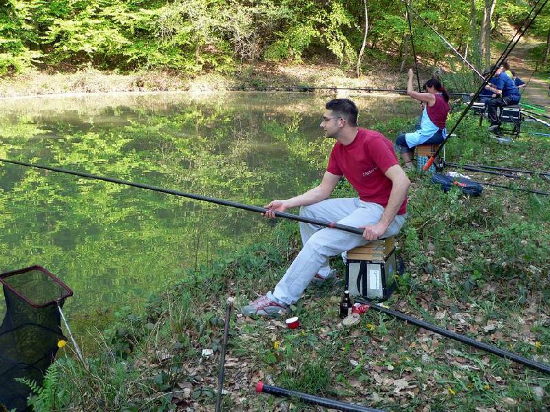 Graureiher Bild Nr.009