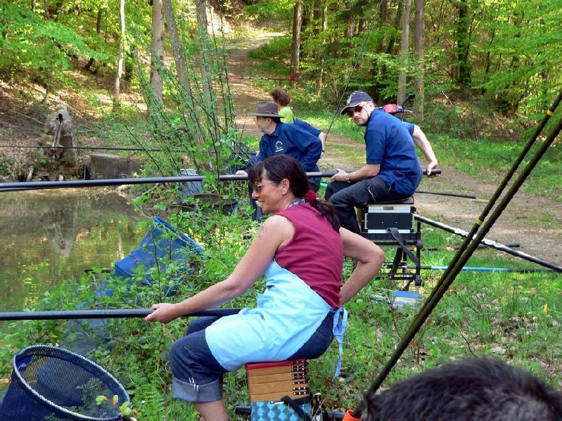 Graureiher Bild Nr.013