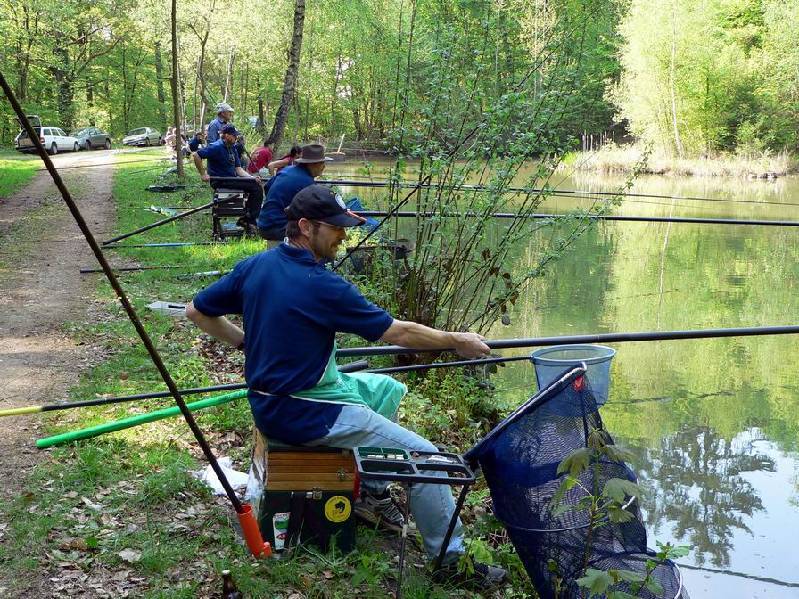 Graureiher Bild Nr.020