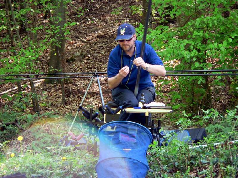 Graureiher Bild Nr.032