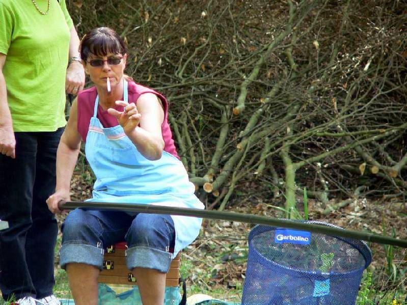 Graureiher Bild Nr.035