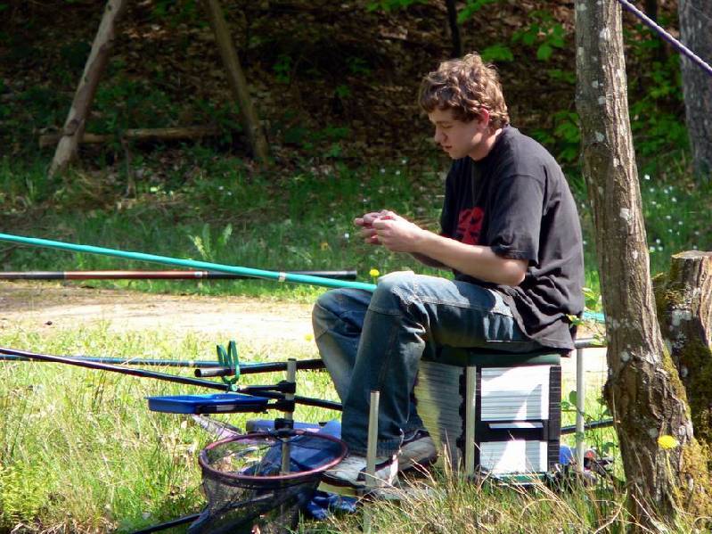 Graureiher Bild Nr.039