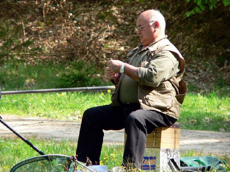 Graureiher Bild Nr.040