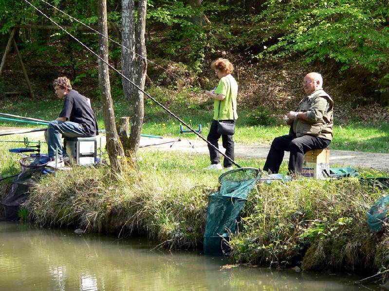 Graureiher Bild Nr.041