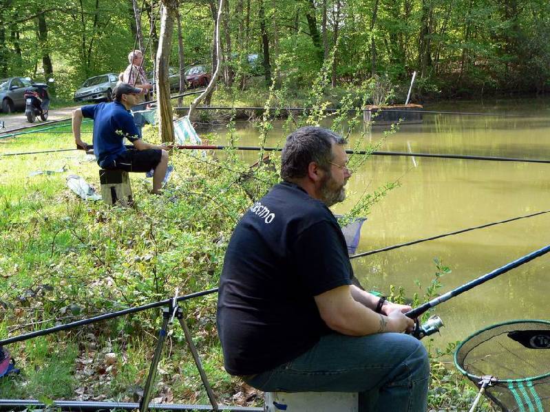 Graureiher Bild Nr.048