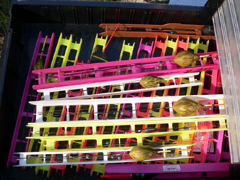 Graureiher Bild Nr.065