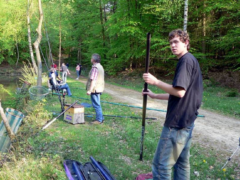 Graureiher Bild Nr.068