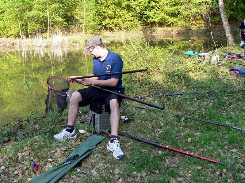 Graureiher Bild Nr.070