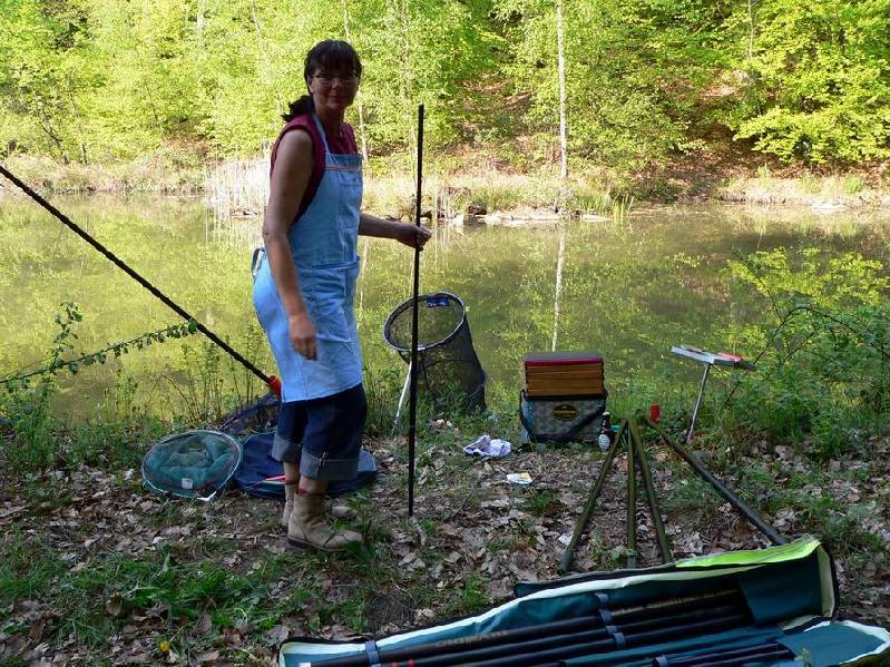 Graureiher Bild Nr.073