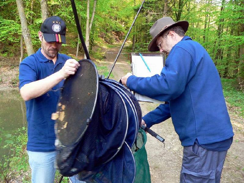 Graureiher Bild Nr.076