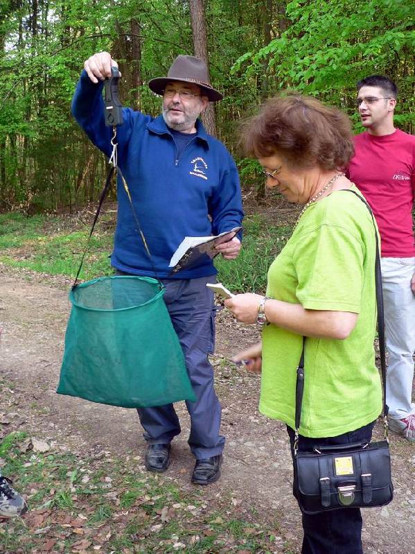 Graureiher Bild Nr.079