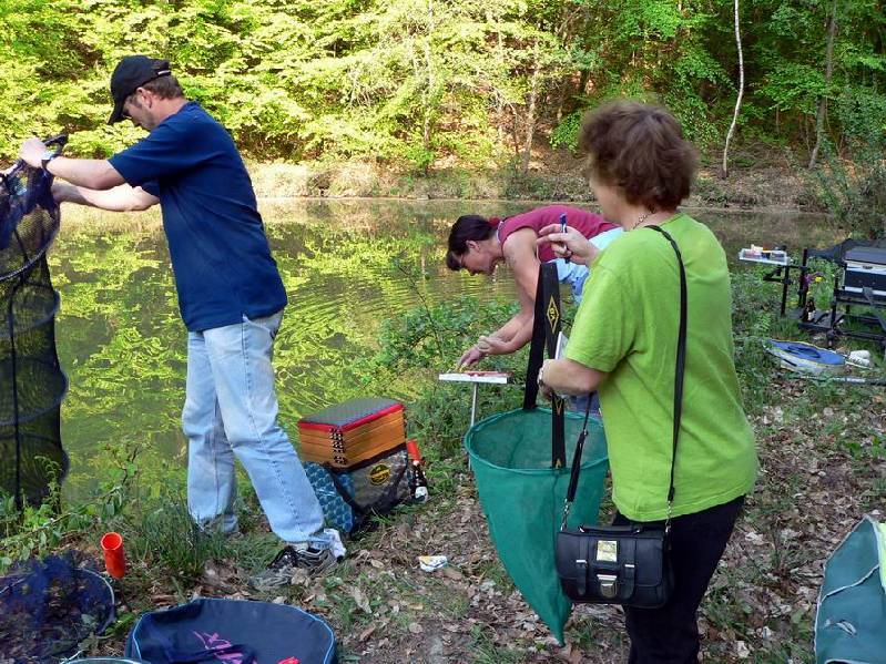 Graureiher Bild Nr.082