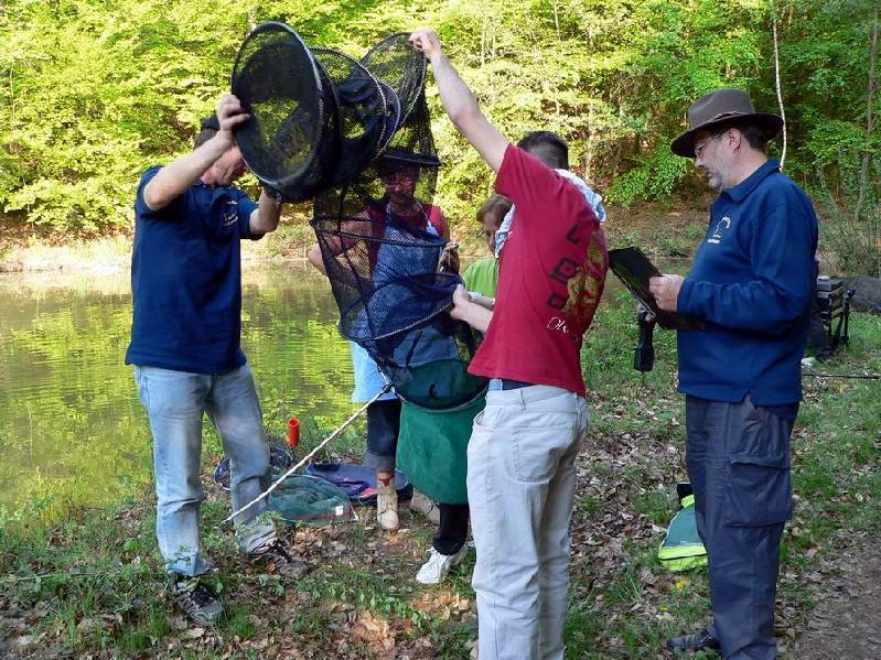 Graureiher Bild Nr.083