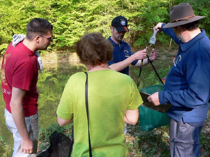 Graureiher Bild Nr.086