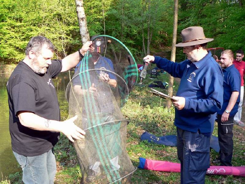 Graureiher Bild Nr.088