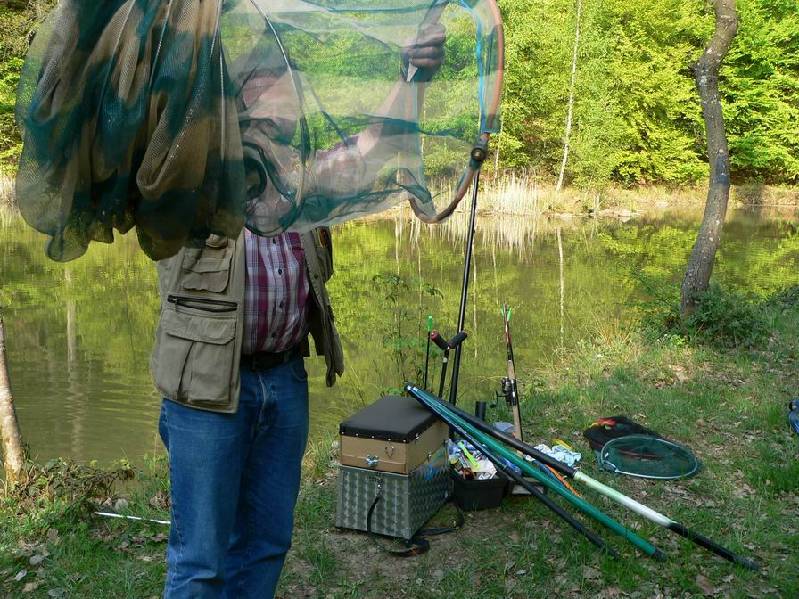 Graureiher Bild Nr.095