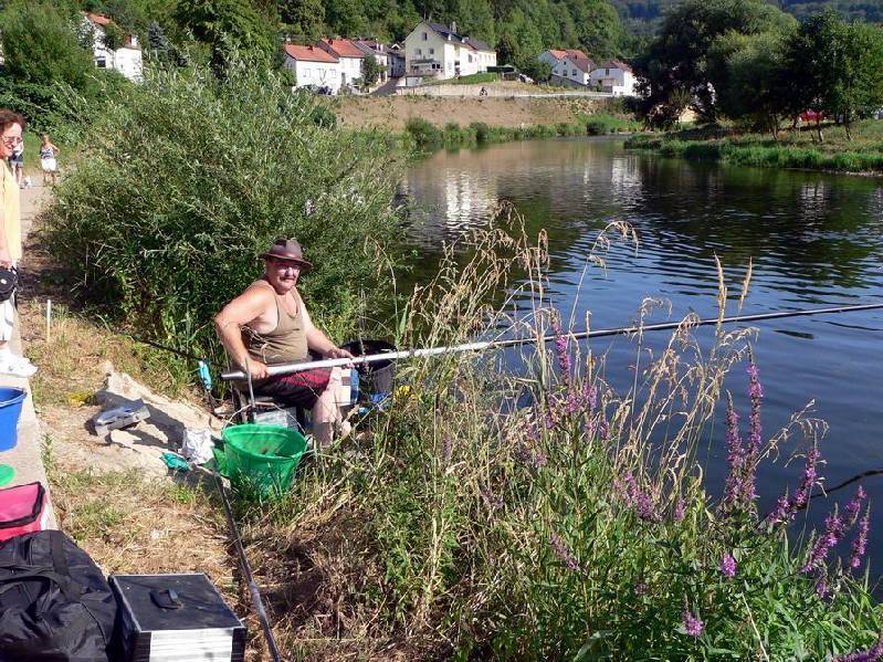 Graureiher Bild Nr.136