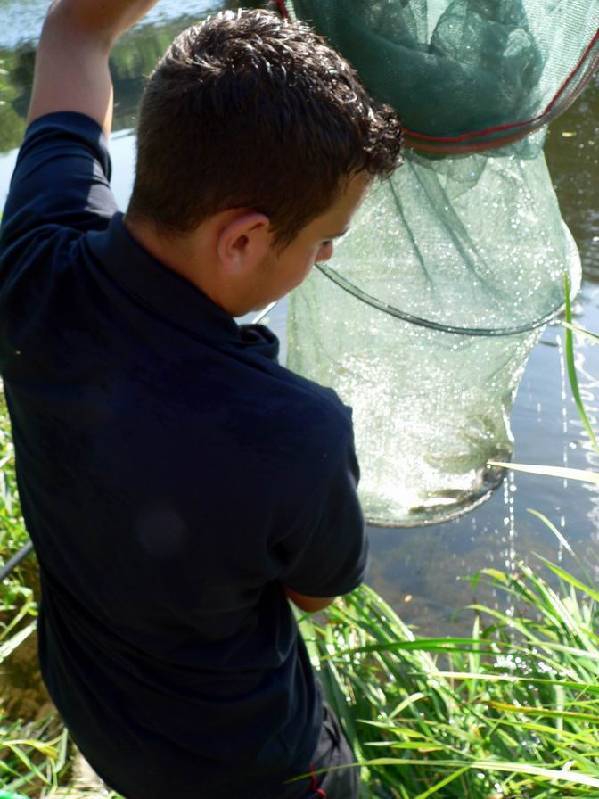 Graureiher Bild Nr.140