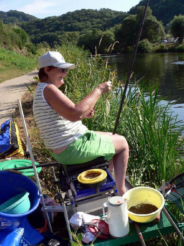 Graureiher Bild Nr.141