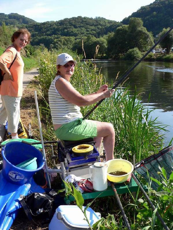 Graureiher Bild Nr.142