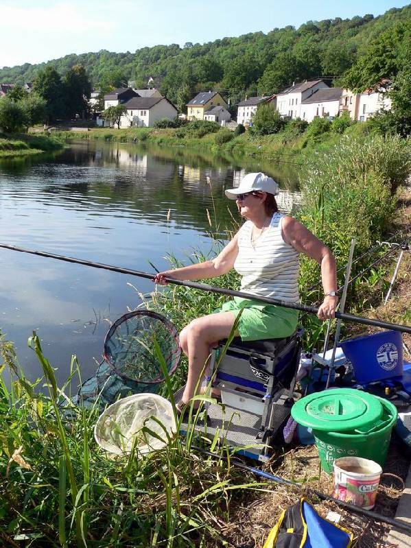 Graureiher Bild Nr.143