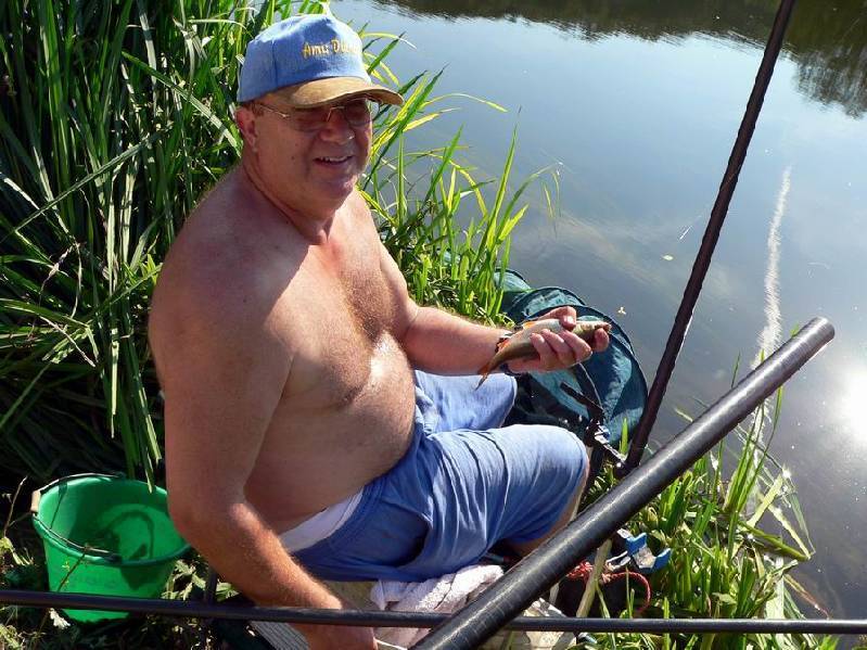 Graureiher Bild Nr.144