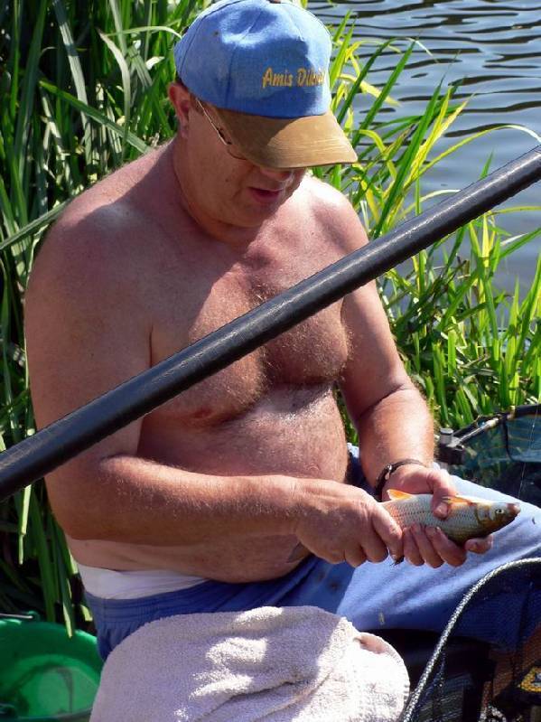 Graureiher Bild Nr.145