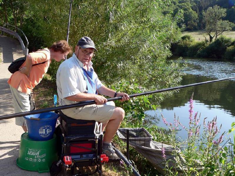 Graureiher Bild Nr.149