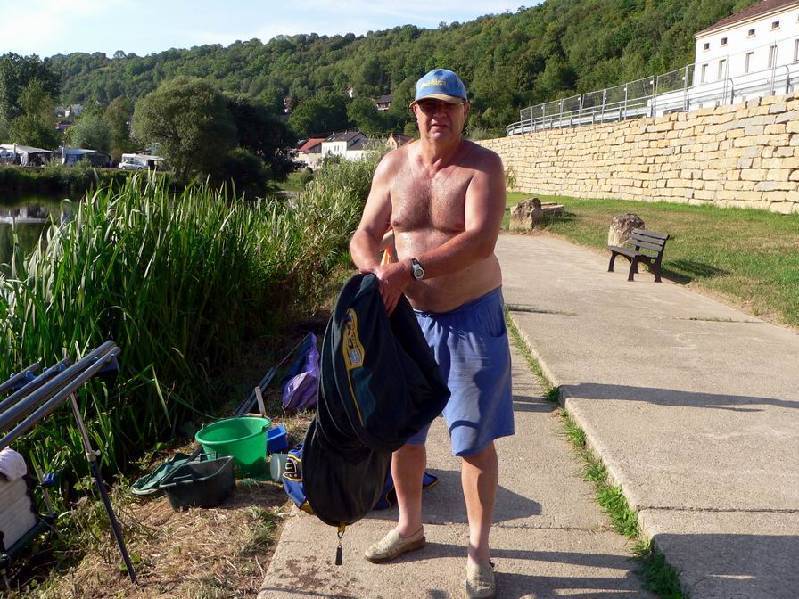 Graureiher Bild Nr.158