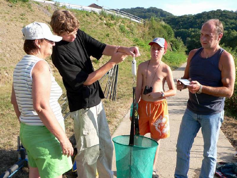 Graureiher Bild Nr.160