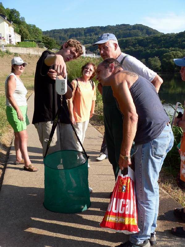 Graureiher Bild Nr.162