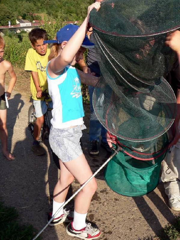 Graureiher Bild Nr.166